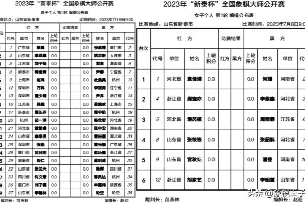 许银川和洪智的象棋比赛（许银川与洪智的象棋巅峰对决，谁将棋高一着）.