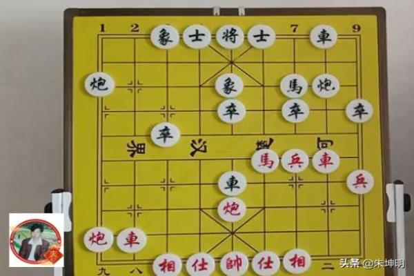 个人玩象棋怎么玩的好呢女生（如何成为玩象棋的女高手）.