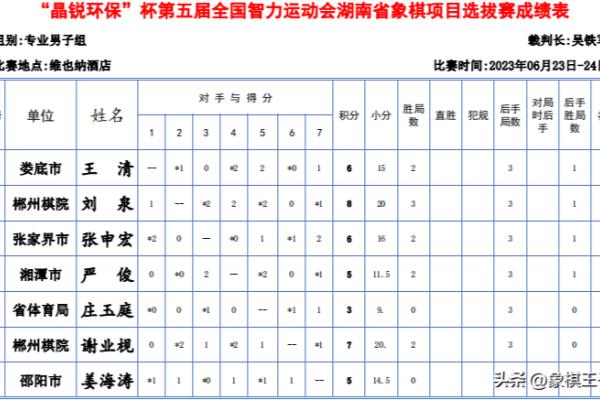 湖南象棋大师名单（湖南象棋大师名单，谁将成为下一个棋王）.