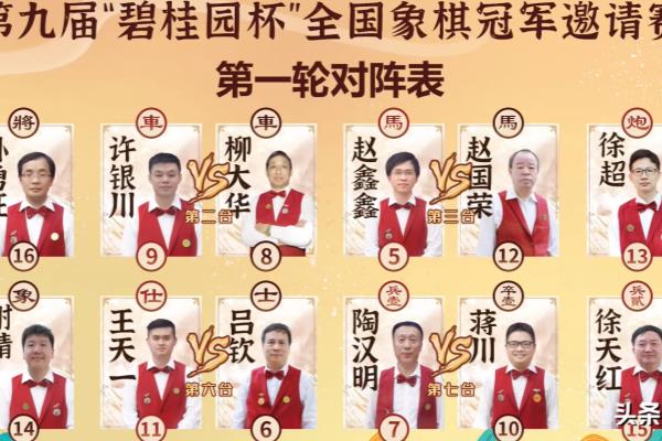 历届碧桂园杯象棋冠军赛（历届碧桂园杯象棋冠军赛，谁将成为下一个棋王）.