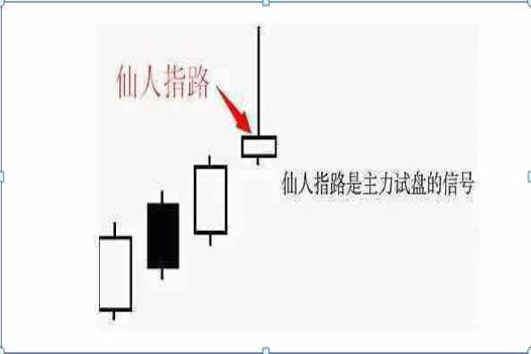 仙人指路后期怎么操作（如何在仙人指路后期把握机会，实现收益最大化）.