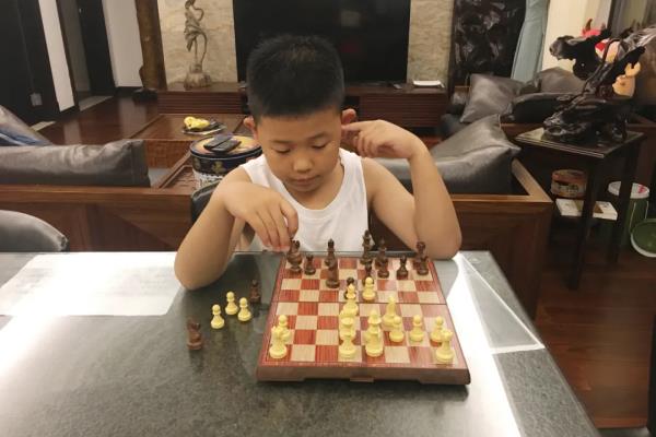 国际象棋适合小男孩学吗（国际象棋，小男孩智力开发的绝佳选择）.