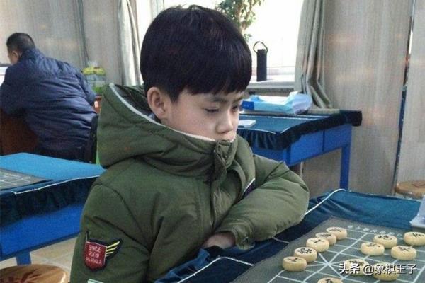 河北象棋省冠军有哪些人（揭秘河北象棋界的璀璨明星，谁将成为下一个传奇）.