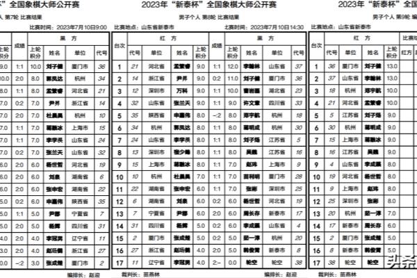 象棋何媛的个人资料（揭秘世界女子象棋冠军何媛的成长之路及辉煌成就）.