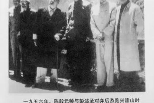 象棋大师 陈（陈能否成为下一个象棋传奇）.