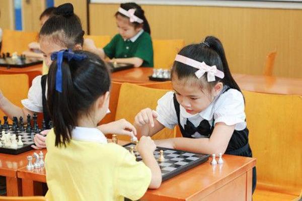 有专业象棋学校吗.