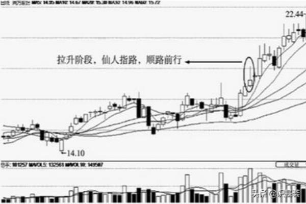 仙人指路仙人指的是什么（探寻神秘仙人指引之路，揭开千古之谜！）.