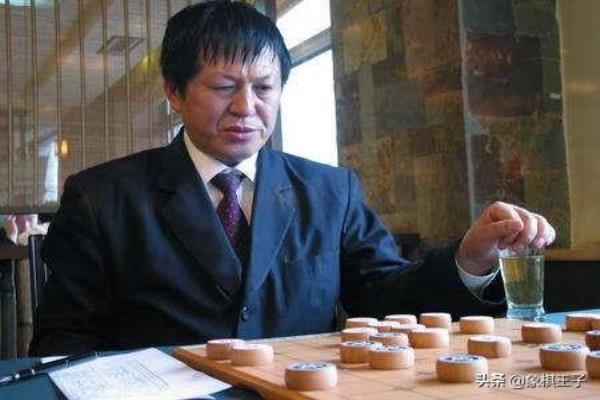 河北象棋特级大师有几位名单（揭秘河北象棋特级大师，谁将问鼎巅峰荣耀）.