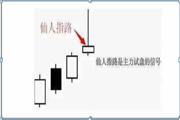 仙人指路战斗力有多强（仙人指路，战斗力究竟几何）.