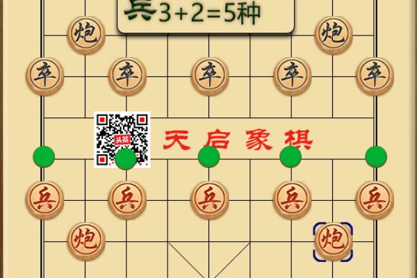 中国象棋九尾龟的下法（九尾龟布局之谜，如何驾驭这只神秘的棋子）.