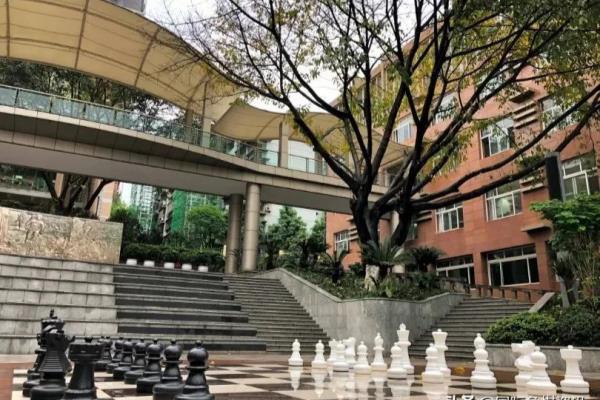 重庆麒麟国际象棋学校（重庆麒麟国际象棋学校，下一盘智慧的棋，你准备好了吗）.