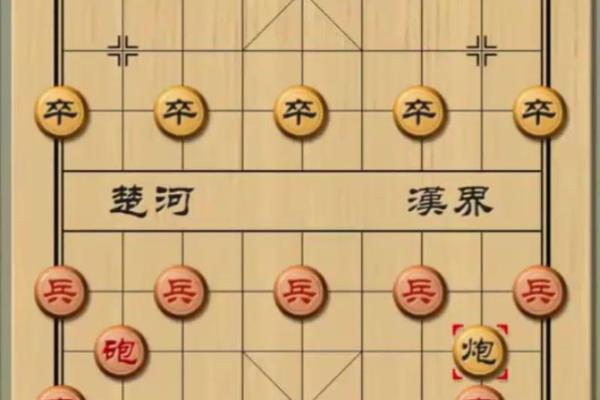 淘宝上的象棋软件好用吗.