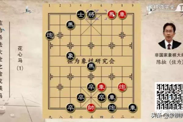 象棋佐为老师讲的不错.