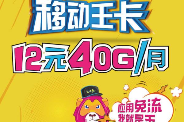 移动王卡每天1元1gb超出1gb怎么算