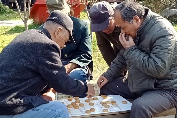 中国象棋的英文单词怎么写