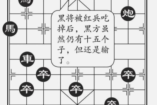 中国象棋帅和将可以对吃吗.