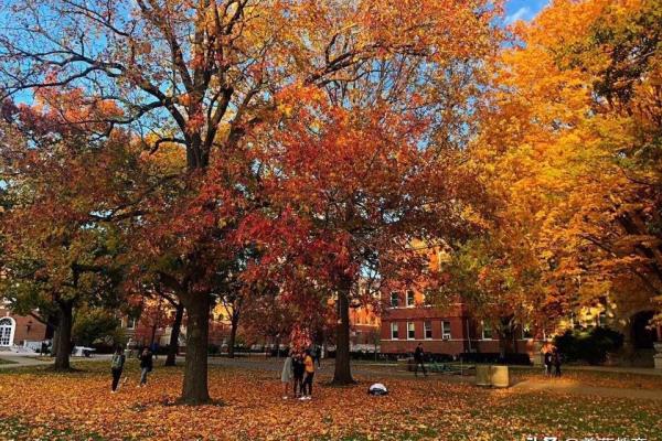 罗切斯特大学usnews世界排名.